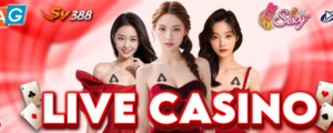 Live Casino - Atas